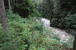 die Rienz, Blick flussaufwärts …