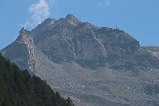 Zoom auf den Goldzechkopf