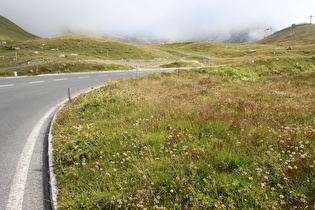 Blick Richtung Hochtor