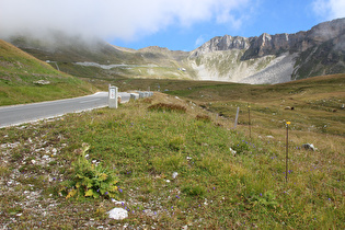 Blick auf v. l. n. r. Hochtor, Tauernkopf und Torwand