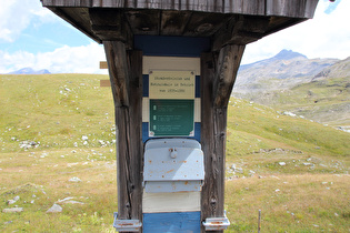 aufgegebenes Straßentelefon & Notrufsäule