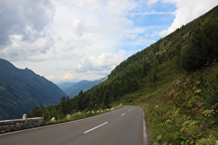 Blick nach Norden auf die montane Waldgrenze