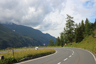 im Bereich der montanen Waldgrenze, Blick in die Kehre 6 Lärchach, …