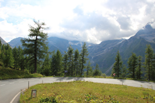 Blick über die Kehre 5 Lärchach ins Käfertal