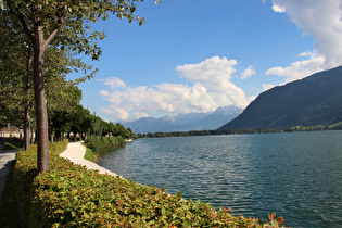 in Zell am See, Blick über den Zeller See zum Steinernen Meer, …