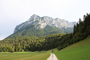 zwischen Haiderhof und Fronau, Blick auf die Nordflanke der Reither Steinberge, …