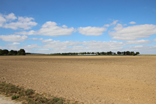 westlich von Wennigsen, Blick zum Großen Hals …