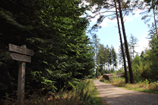 Feldberg, Blick nach Südosten …