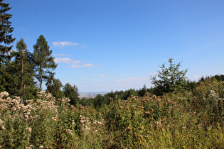 weiter oben, Blick nach Osten