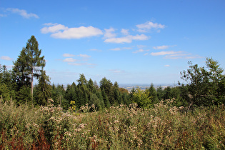 noch weiter oben, Blick nach Nordosten