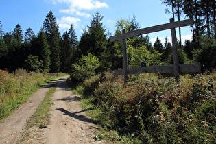 „Deister Nordblick“, Blick bergauf …