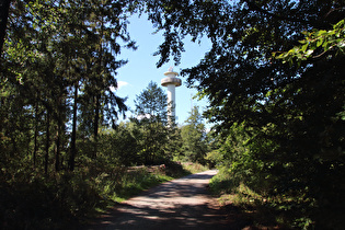 Kammweg, Blick zum Annaturm auf dem Bröhn