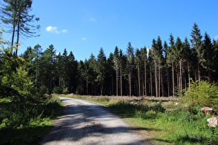 Kammweg zwischen Nienstedter Pass und Reinekensiekskopf, Blick bergauf