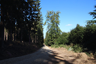 extrem schlechte Wegstrecke in der Abfahrt