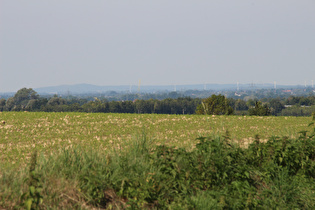 Zoom auf den Benther Berg