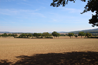 zwischen Hildesheimer Wald (Ort) und Diekholzen, Blick zum Vorholz …