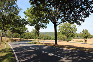 oberhalb der ersten Kehre der Tour, Blick in die Kehre …