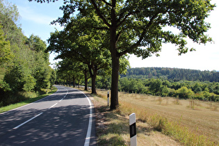 in der Abfahrt nach Sibbesse, Blick in die Kehre …