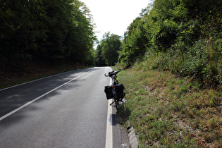 „Dach der Tour“: Wernershöhe / L485; Blick nach Südwesten …