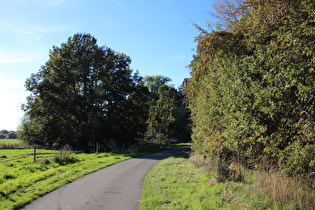 Leineradweg bei Havelse, Blick nach Westen