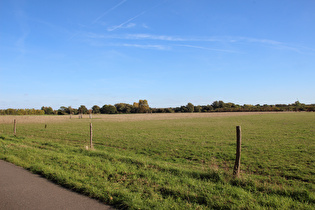 Leineradweg bei Garbsen, Blick nach Südosten