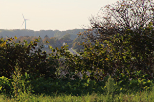 Zoom auf Almhorst