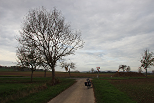 … Blick zum Ellenser Wald …