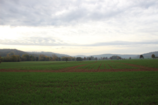 Blick nach Süden in den Solling