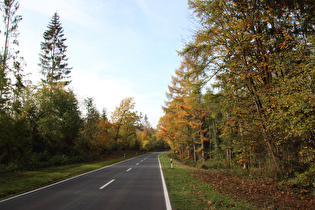 Erholungsheimstraße oberhalb Dassel, Blick bergauf …