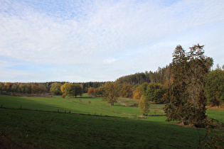 die Seutebornwiese mit der Bremke