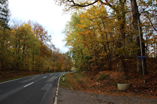 Erholungsheimstraße auf Höhe des Erholungsheims, Blick bergauf