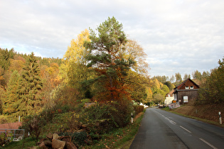 unterhalb von Fohlenplacken, Blick bergauf