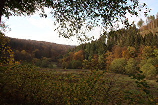 Rumohrtal, Blick nach Norden …