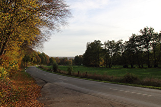 Rumohrtal bei Holzminden, Blick talaufwärts