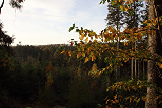 weiter oben, Blick zum Fernmeldeturm Barsinghausen auf dem Großen Hals