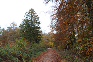 Blick zum „Dach der Tour“ auf dem Reinekensiekskopf