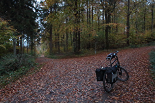 oberes Ende der Abfahrt nach Egestorf, Blick bergab