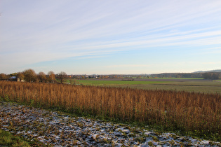 Kollrotshöhe, Westrampe, Blick nach Südosten Richtung Harz