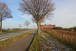 … und Blick auf Kollrotshöhe