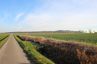 südlich vom Großen Holz, Blick auf Northen und den Benther Berg …