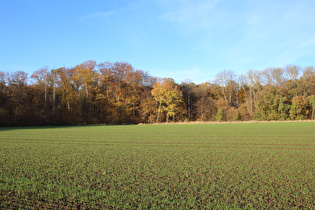 … und Blick auf das Große Holz