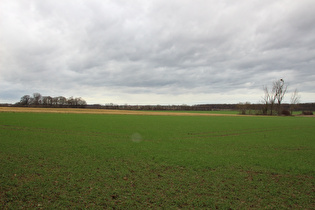 zwischen Velber und Lenthe, Blick Richtung Meiers Mühle