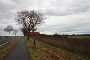 Kollrotshöhe, Westrampe, Blick auf Kollrotshöhe …