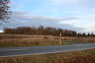 Kollrothshöhe, Ostrampe, Blick zum Heisterberg …