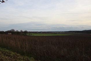 Kollrothshöhe, Westrampe, Blick nach Südosten Richtung Harz