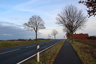 Blick auf Kollrothshöhe …