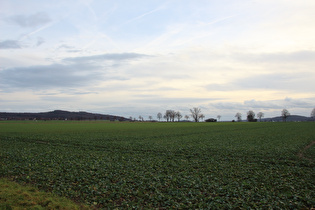 zwischen Großem Holz und Northen, Blick auf Benther Berg und Gehrdener Berg …