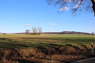 zwischen Großem Holz und Ditterke, Blick zum Benther Berg