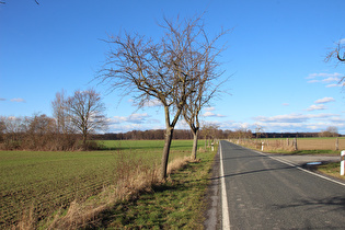 … und Blick zum Großen Holz