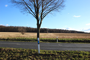 zwischen Lenthe und Velber, Blick nach Süden, …